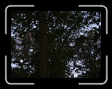 equinox76 (54) * 1632 x 1224 * (1.24MB)
